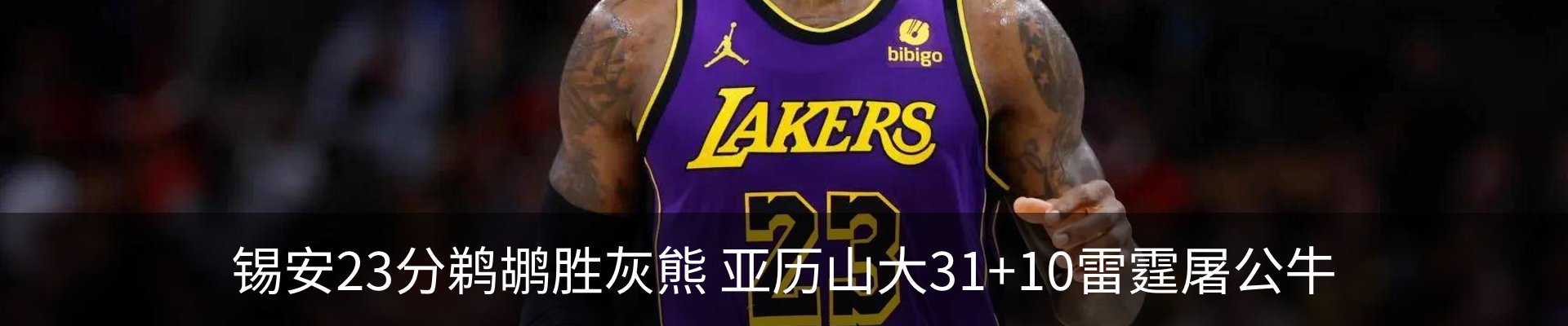 最新动态
