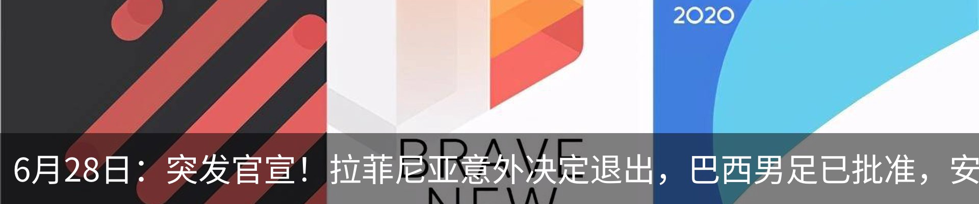 最新动态